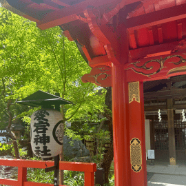 Red temple image taken by MDU foundation member during Tokyo elective